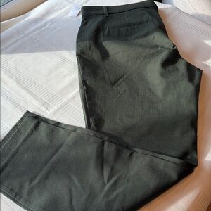 GAP Olive Green 14 Regular Signature Skinny Ankle Cotton/Spandex blend Pants NWT